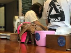 -Be Lived Cafe比例咖啡(摩天轮店)