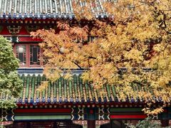 -灵谷景区
