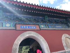 -大觉寺-停车场