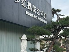 -罗红摄影艺术馆