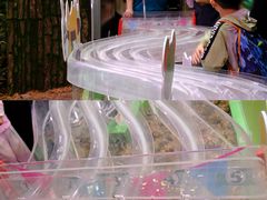 -正佳雨林生态植物园