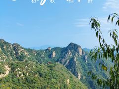 -大岭沟猕猴桃谷风景区
