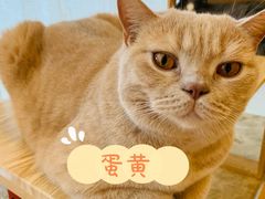 -Catmate·猫肥家润(金润铂宫店)