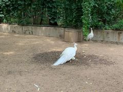-秦皇岛野生动物园