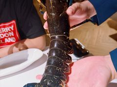 -Oyster Talks 四度蚝法餐厅