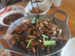 -小放牛炒菜馆(军校店)