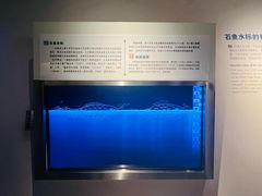-白鹤梁水下博物馆