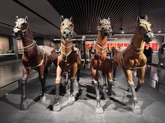-太原市博物馆
