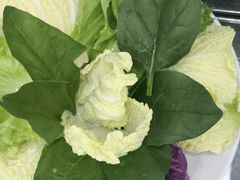 -东来顺饭庄·火锅(环岛店)