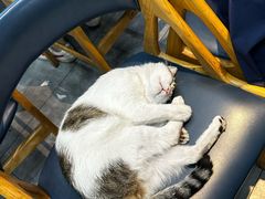 -游埠豆浆(上城区中山南路店)