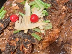 -老板恋上鱼(恒隆广场店)