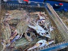 -宁海食府(大剧院店)