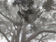 -终南山南五台景区