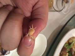 iphone_upload_pic-紫丁香饭店-中餐厅