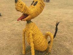 -明珠湖天鹅苑·农家菜馆