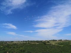 -君临七星生态酒店