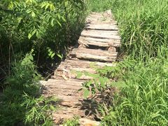 -碓臼峪自然风景区