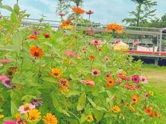 -长洲岛都市农业公园