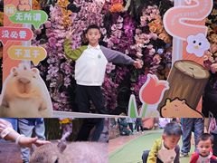 -正佳雨林生态植物园