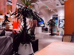 -长春藤咖啡(北园店)