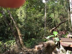 吊罗山国家森林公园-海南热带雨林国家公园吊罗山景区