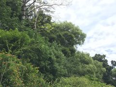 -乌山风景区