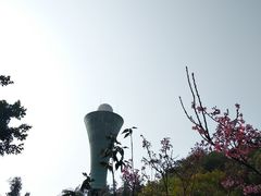 -狐尾山公园