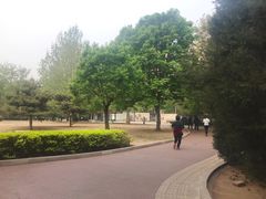 -方庄体育公园