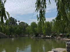 -西宁市人民公园(城西区)