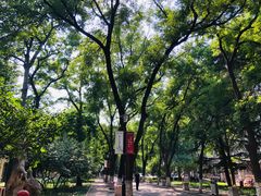 -山东大学(趵突泉校区)