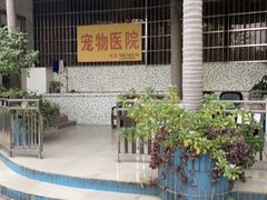 -宠物研究中心