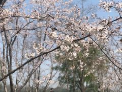-南京城墙景区