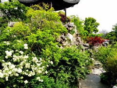 -上海皇廷花园酒店·西餐厅·自助餐