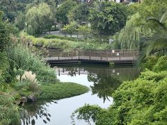 -张坝桂圆林公园