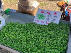 -示范集贸市场