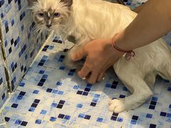 -FAELING PETS美天灵宠物(富力广场店)