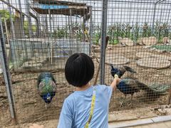 -河北村民俗体验园