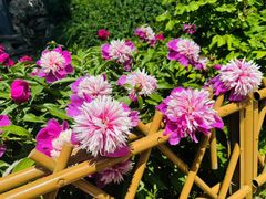 -莲池书院博物馆