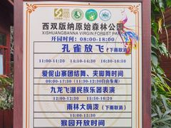 -西双版纳原始森林公园