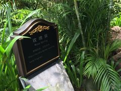 温泉-广州锦绣香江度假别墅