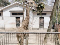 -杭州动物园