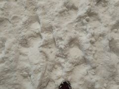 -湘江欢乐城欢乐雪域