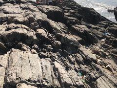 -盐洲岛