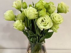 -海底捞火锅(老城根店)