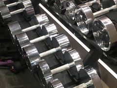 -章鱼健身 Octopus