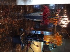 iphone_upload_pic-云门锦翠(商鼎国际店)