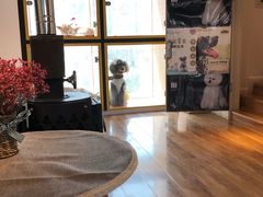 -西元前宠物酒店(郑庄府邸店)