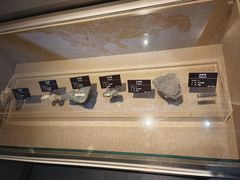 -甘肃地质博物馆