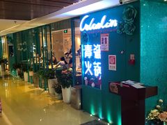 -青瓷火锅料理(西单大悦城店)