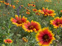 -北运河水利风景区